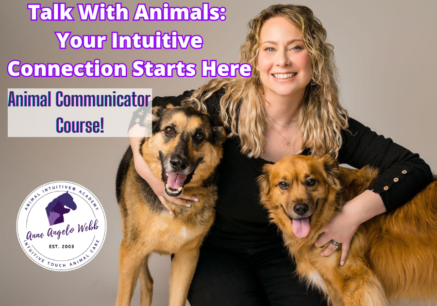 Telepathic Animal Communication Class with Acuprssure for Animals Hypnosis