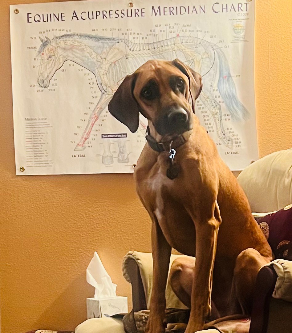 Pathways to Learning The Tallgrass online and hands-on core curriculum 